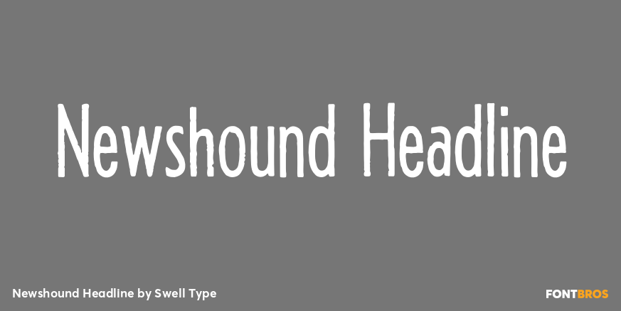 Newshound Headline Poster