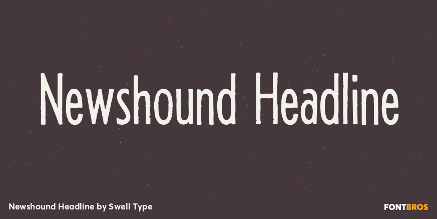 Newshound Headline Poster