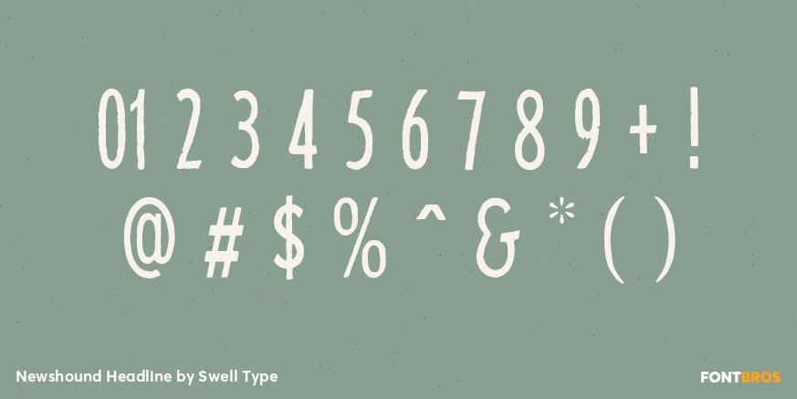 Newshound Headline Font Poster #4