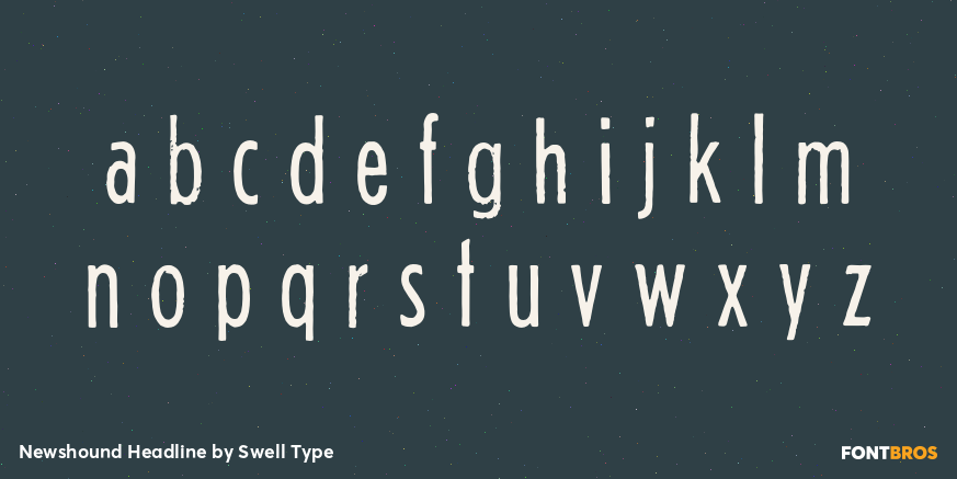 Newshound Headline Font Poster #1