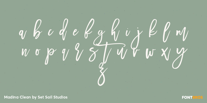 Madina Clean Font Poster #3
