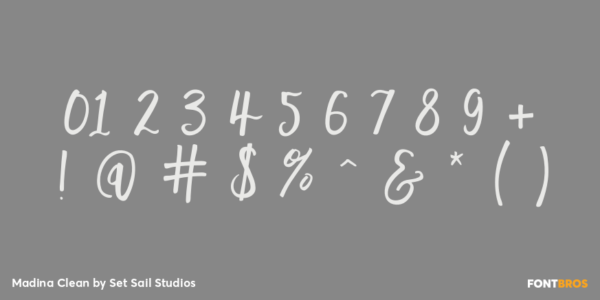 Madina Clean Font Poster #4