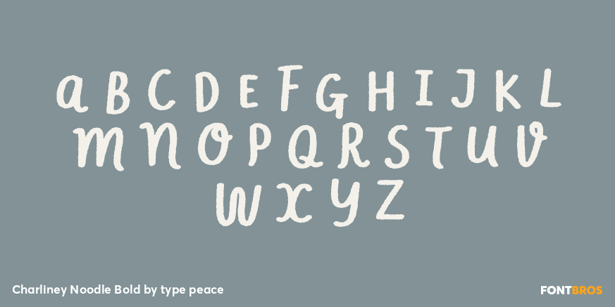 Charliney Noodle Bold Font Poster #1
