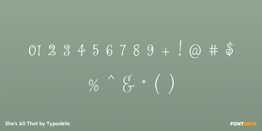 She's All That Font Poster #4