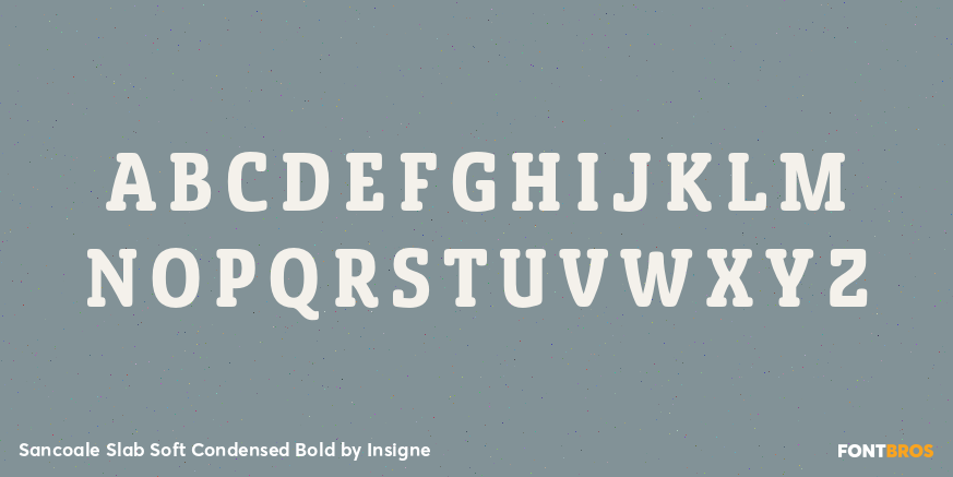 Sancoale Slab Soft Condensed Bold Font Poster #2