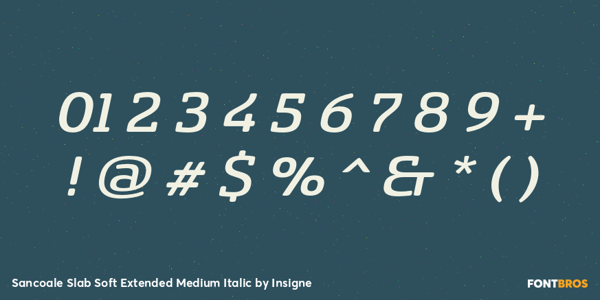 Sancoale Slab Soft Extended Medium Italic Font Poster #4