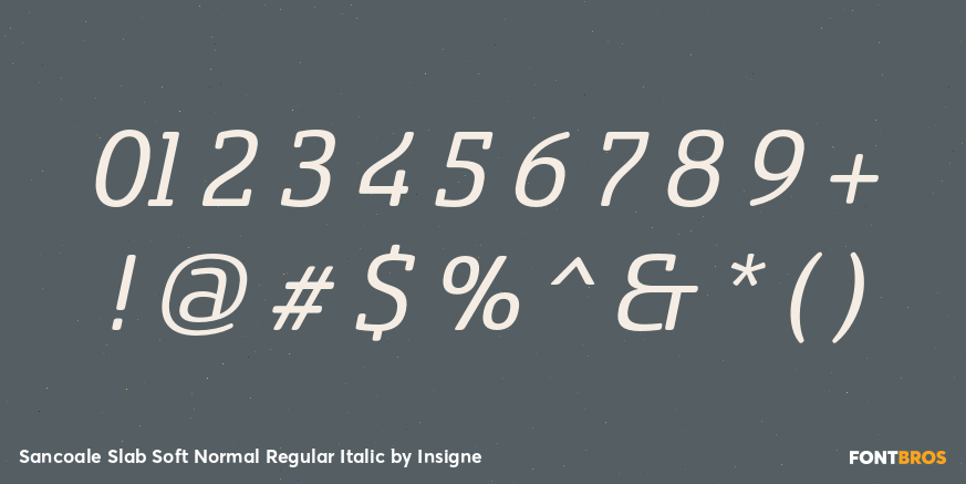 Sancoale Slab Soft Normal Regular Italic Font Poster #4