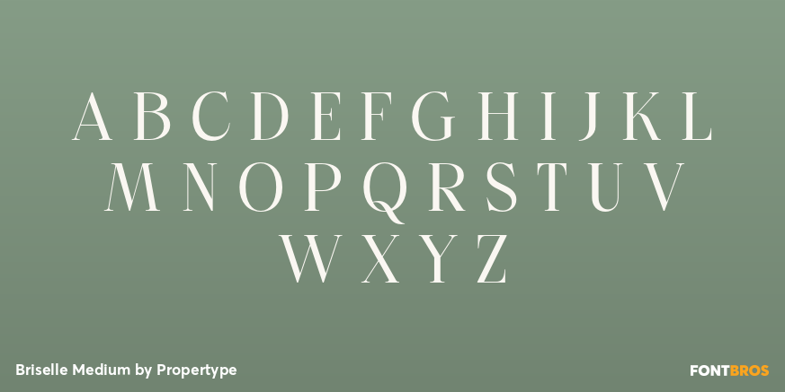 Briselle Medium Font Poster #2