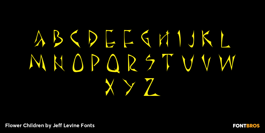 Flower Children Font Poster #2