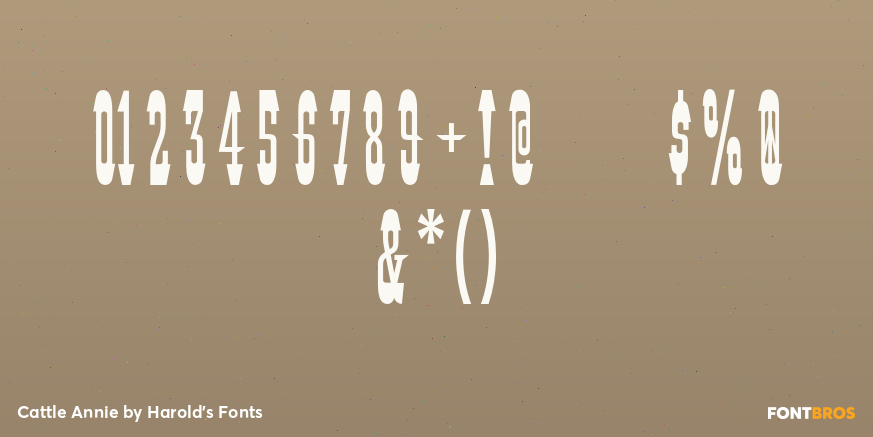 Cattle Annie Font Poster #1