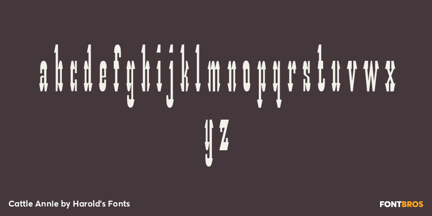 Cattle Annie Font Poster #3