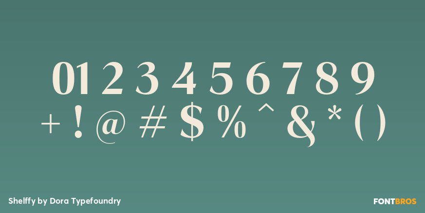 Shelffy Font Poster #1