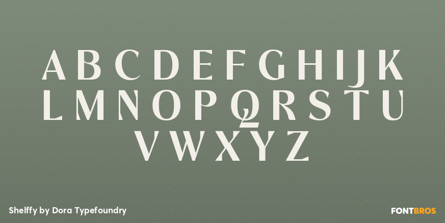 Shelffy Font Poster #1