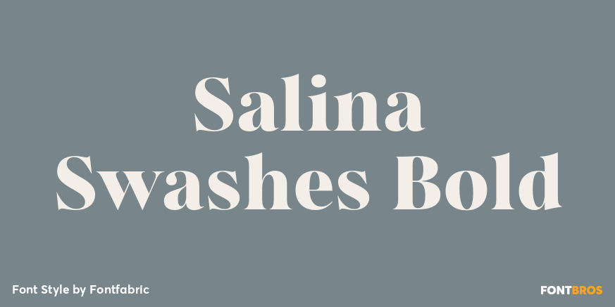 Salina Swashes Bold Poster