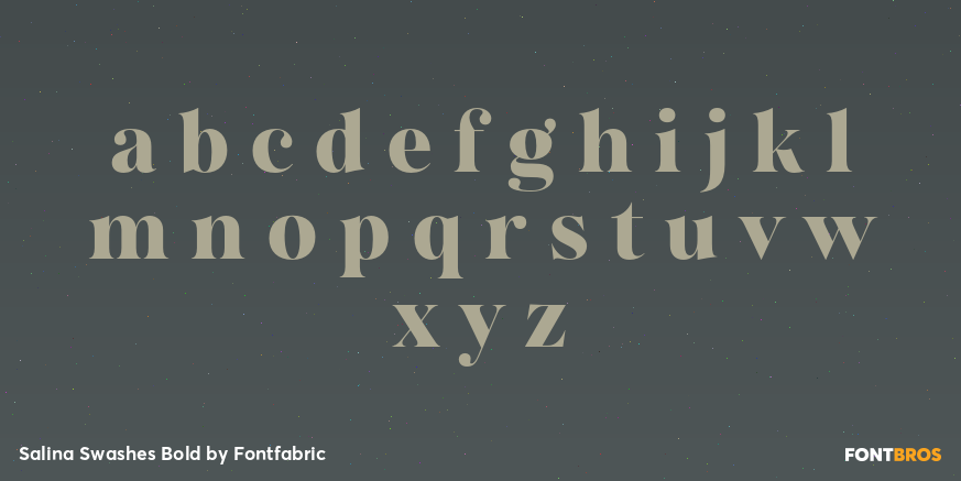 Salina Swashes Bold Font Poster #3