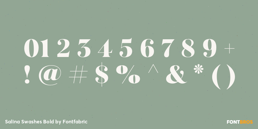 Salina Swashes Bold Font Poster #4