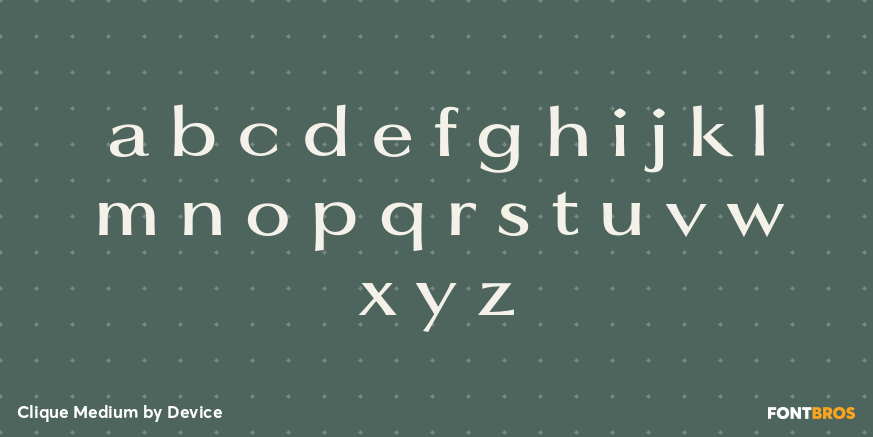 Clique Medium Font Poster #3