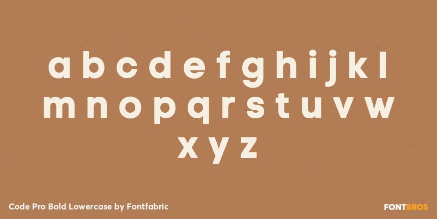 Code Pro Bold Lowercase Font Poster #3