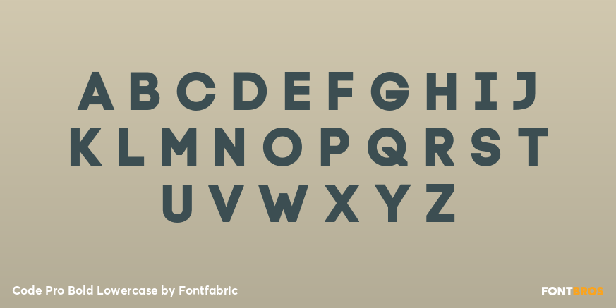 Code Pro Bold Lowercase Font Poster #1