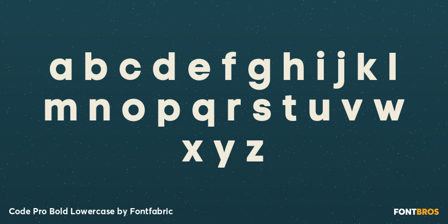Code Pro Bold Lowercase Font Poster #1