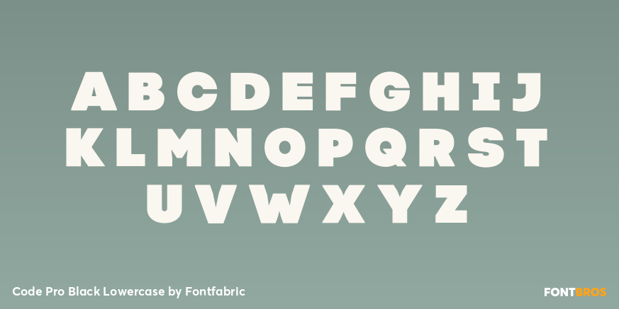 Code Pro Black Lowercase Font Poster #2
