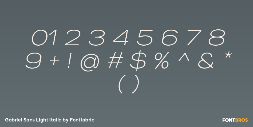Gabriel Sans Light Italic Font Poster #4