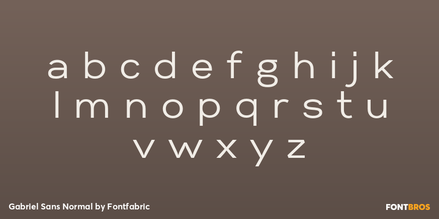 Gabriel Sans Normal Font Poster #3