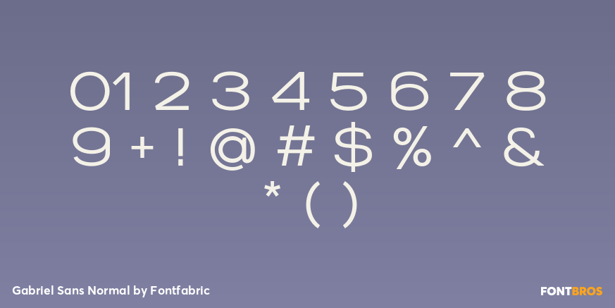 Gabriel Sans Normal Font Poster #4