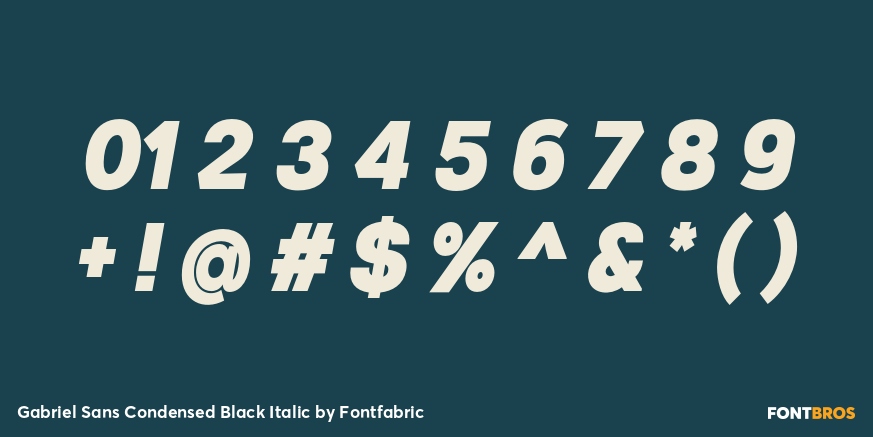 Gabriel Sans Condensed Black Italic Font Poster #4