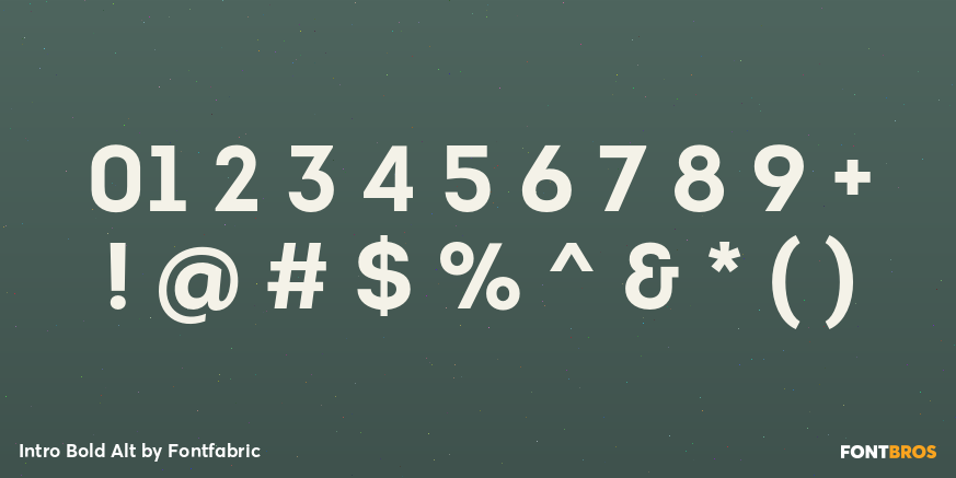 Intro Bold Alt Font Poster #4
