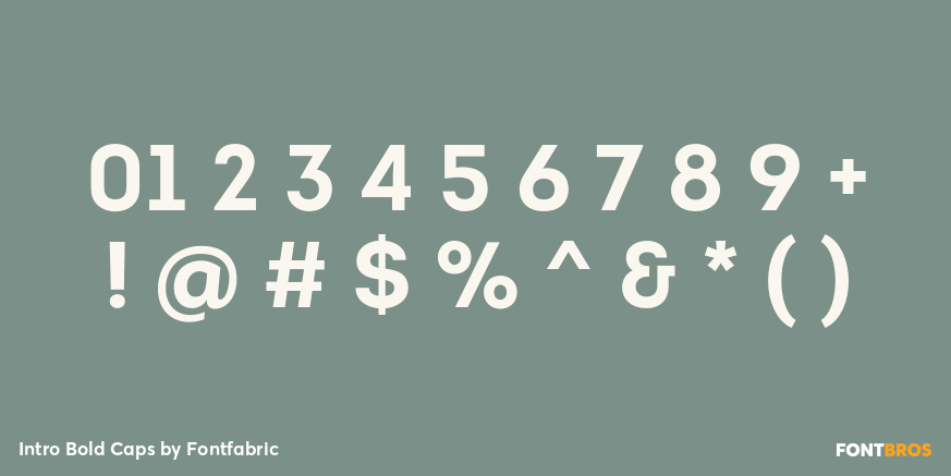 Intro Bold Caps Font Poster #4