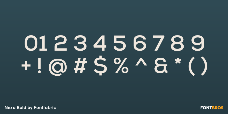 Nexa Bold Font Poster #4