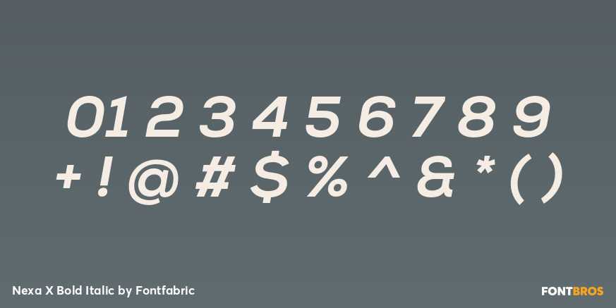 Nexa X Bold Italic Font Poster #4