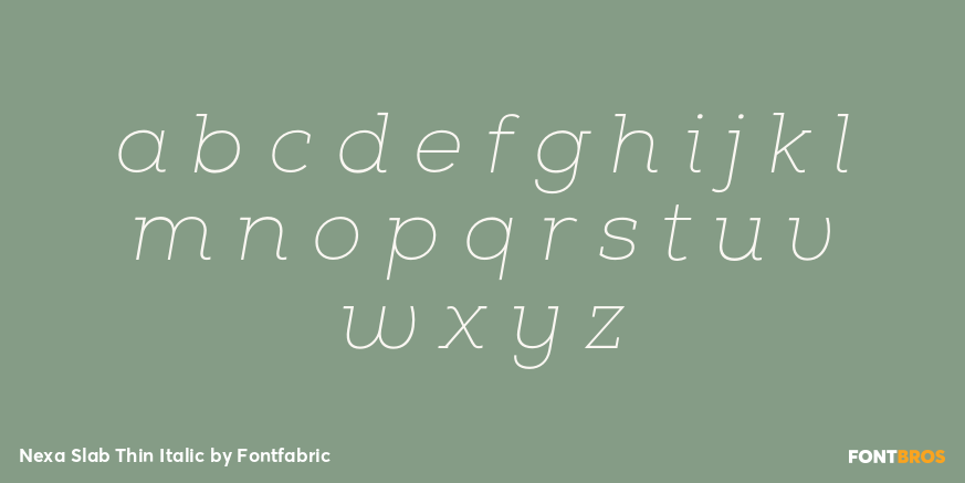 Nexa Slab Thin Italic Font Poster #3