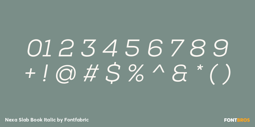 Nexa Slab Book Italic Font Poster #4