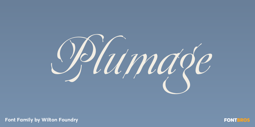Plumage Poster