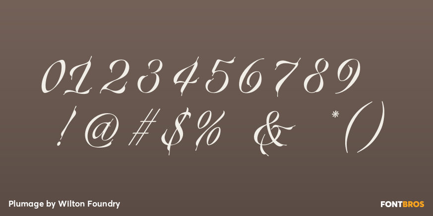 Plumage Font Poster #1