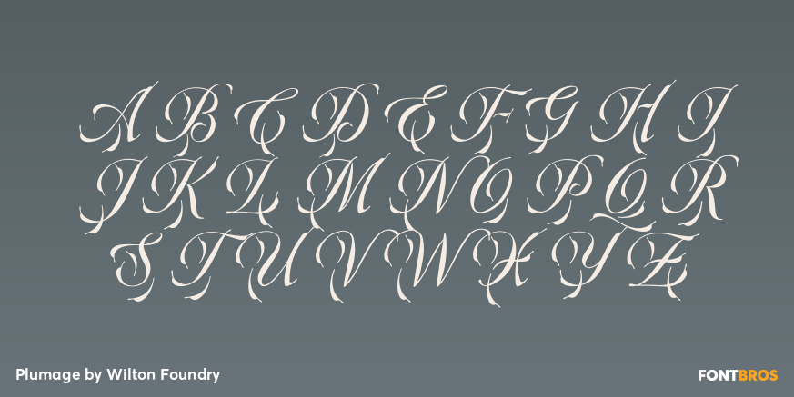 Plumage Font Poster #1
