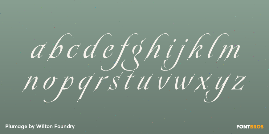 Plumage Font Poster #1