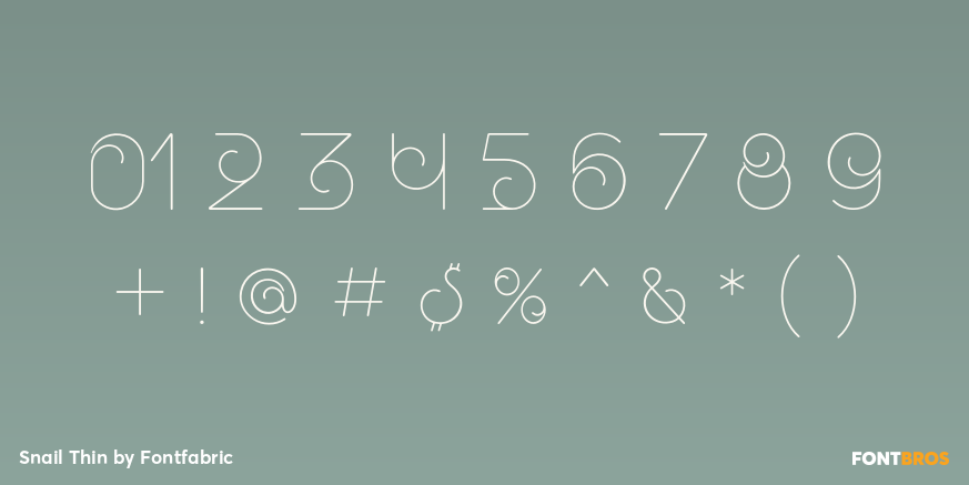 Snail Thin Font Poster #4