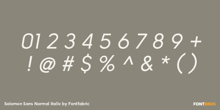 Solomon Sans Normal Italic Font Poster #1