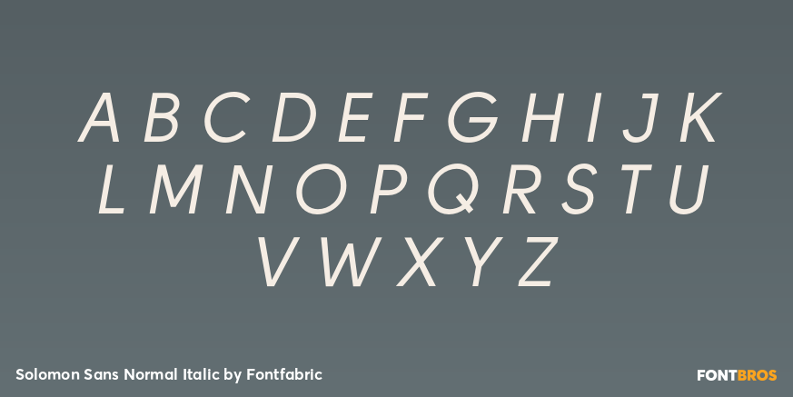 Solomon Sans Normal Italic Font Poster #2
