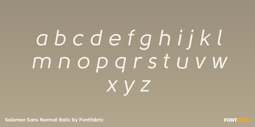 Solomon Sans Normal Italic Font Poster #3