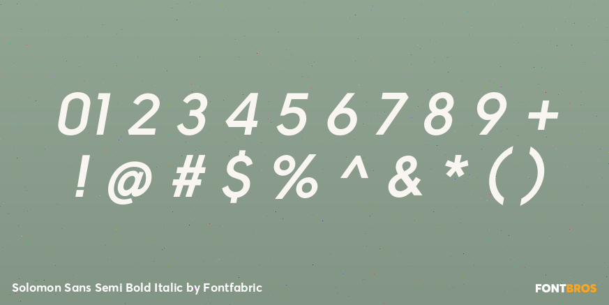 Solomon Sans Semi Bold Italic Font Poster #4