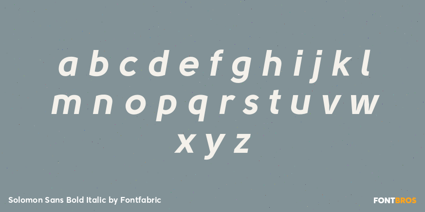 Solomon Sans Bold Italic Font Poster #3