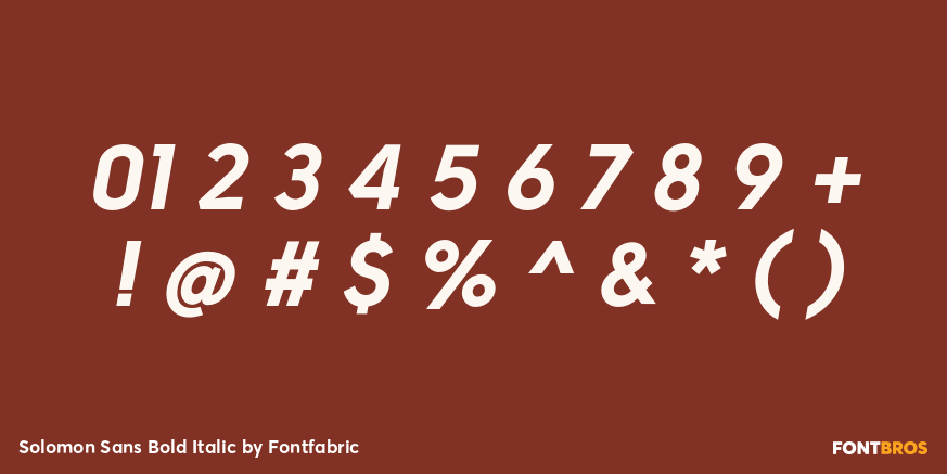 Solomon Sans Bold Italic Font Poster #4
