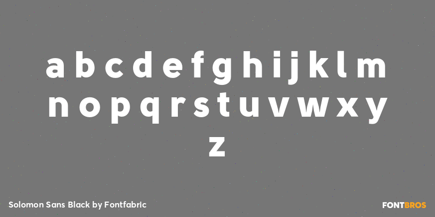 Solomon Sans Black Font Poster #3