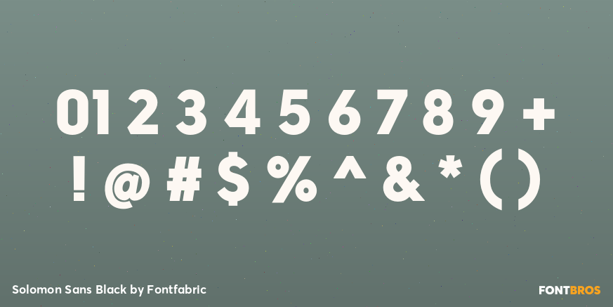 Solomon Sans Black Font Poster #4
