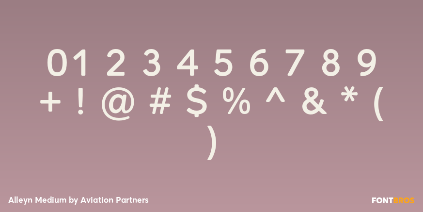 Alleyn Medium Font Poster #4