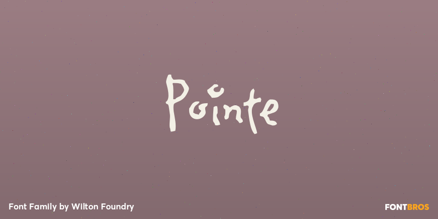 Pointe Poster